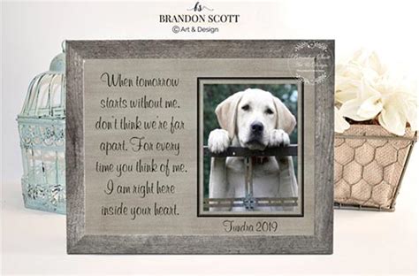 meaningful sympathy gifts for pet owners1724109732