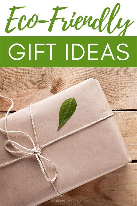 unique gift ideas for eco conscious friends1724071213